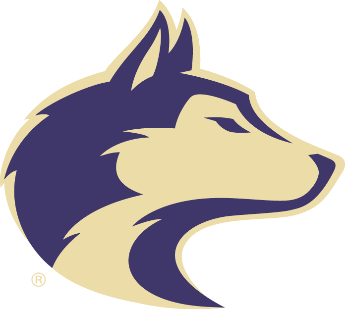 Washington Huskies 2007-Pres Secondary Logo diy DTF decal sticker